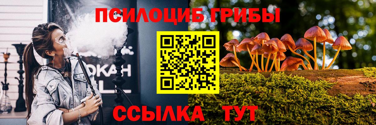 Псилоцибиновые грибы Magic Shrooms Барнаул