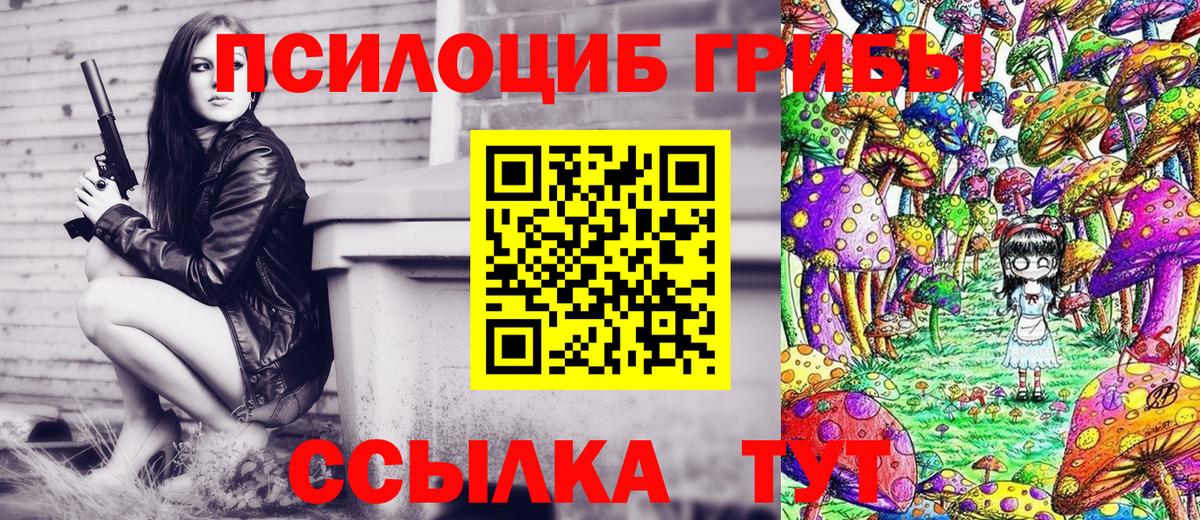 Галлюциногенные грибы Psilocybine cubensis  Вход с VPN  Барнаул  Псилоцибиновые грибы мицелий 